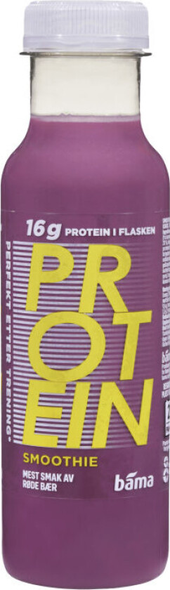 Protein Smoothie 1