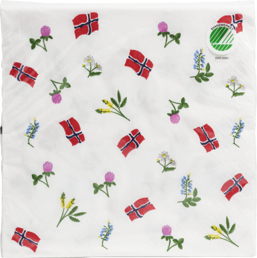 Serviett 17.Mai Trelags lunsjserviett med design, 33x33cm, 20 stk. Svanemerket. Produktet er laget av FSC®-sertifisert materiale og andre kontrollerte kilder.