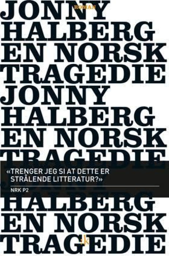 En norsk tragedie av Jonny Halberg