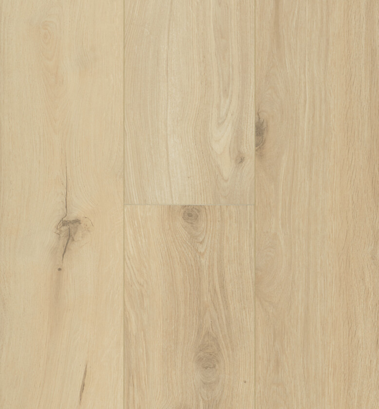 Laminatg ocean 8xl gyant sand natur 8mm pk=2,9469m2 6 bord