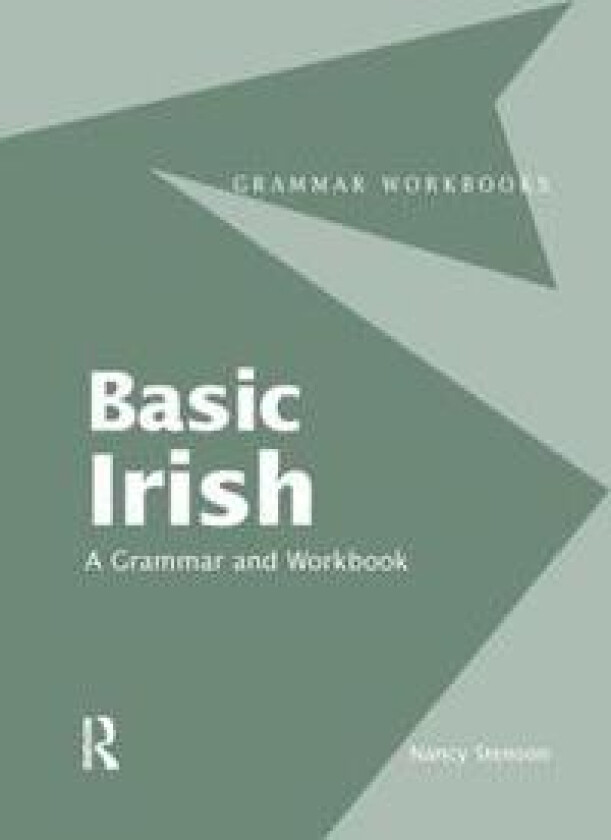 Basic Irish: A Grammar and Workbook
