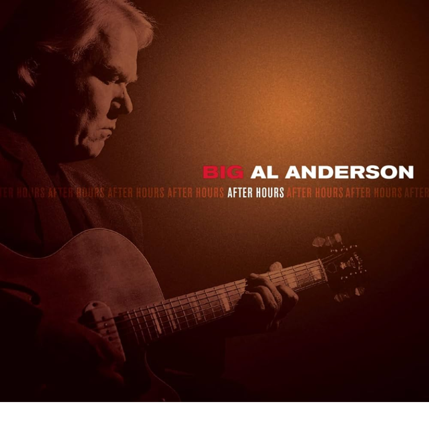 Al Anderson After Hours CD