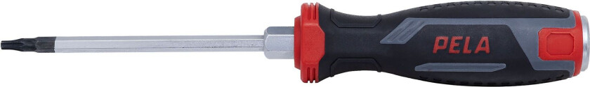 543790 Skrutrekker T20x100 mm