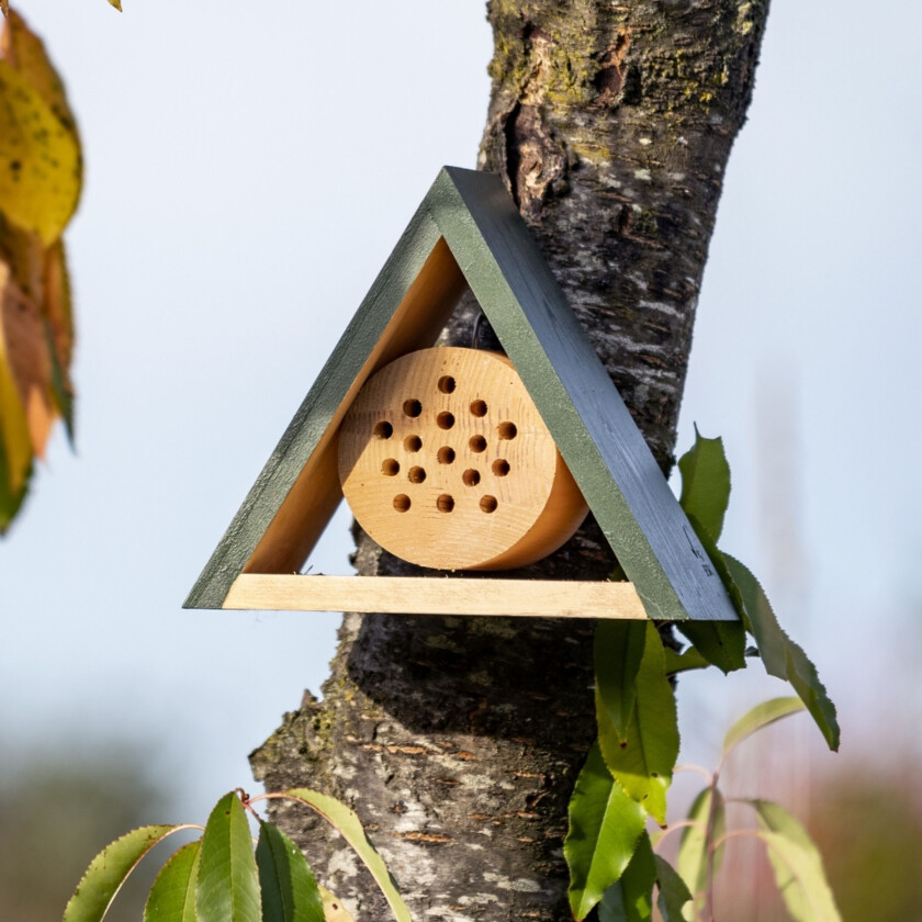Jarvis Insekthotell - Liten