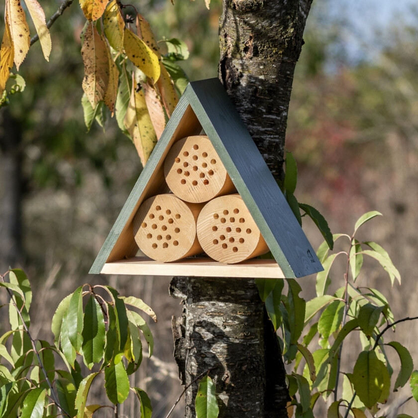 Jarvis Insekthotell - Medium