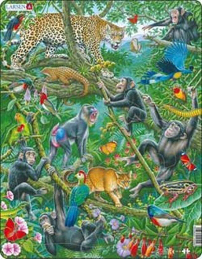Puzzle African Rainforest - 32 pieces Maxi (36.5x28.5 cm) Gulv