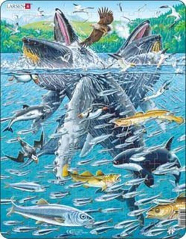 Puzzle Humpback Whale - 140 pieces Maxi (36.5x28.5cm) Gulv