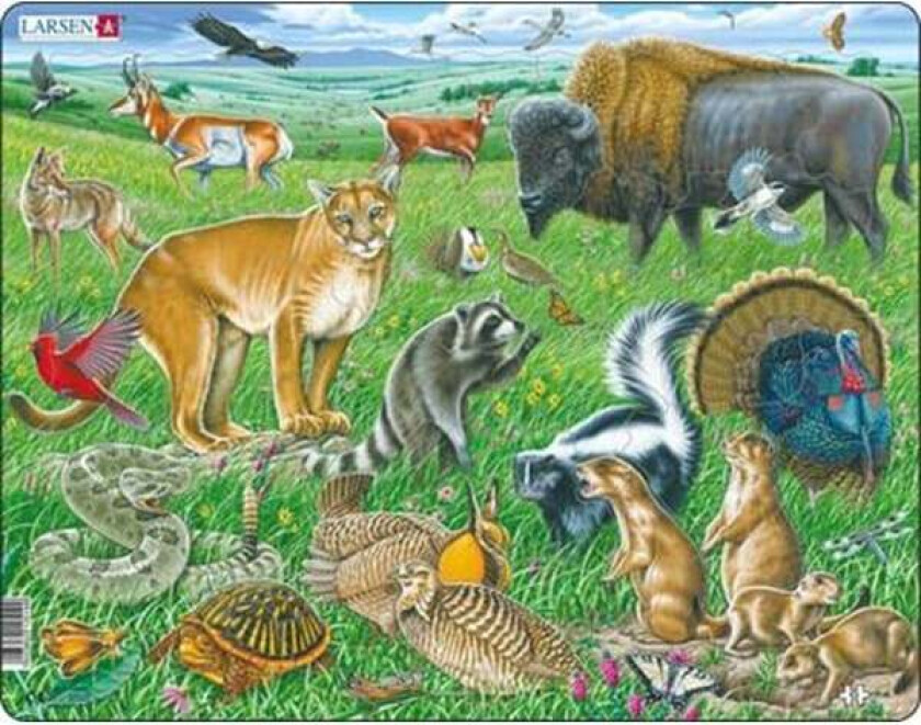 Puzzle American prairie - 53 pieces Maxi (36.5x28.5 cm) Gulv