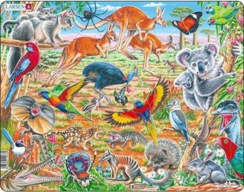Puzzle Australian animals - 60 pieces Maxi (36.5x28.5cm) Gulv