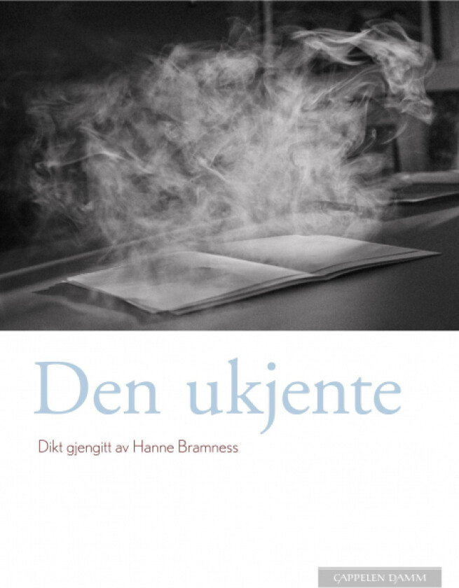 Den ukjente av Hanne Bramness