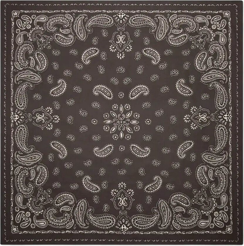 Paisley Print Cotton Scarf - Brown - ONE SIZE