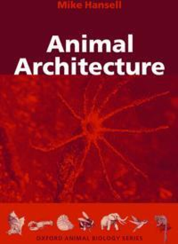 Animal Architecture