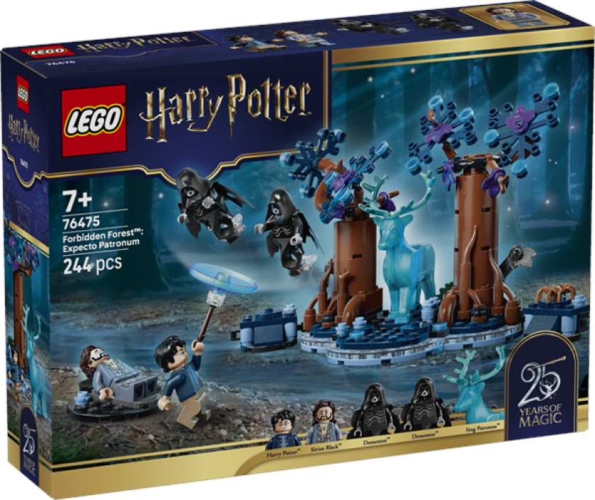 Harry Potter 76475 Den forbudte skogen: Skytsverge