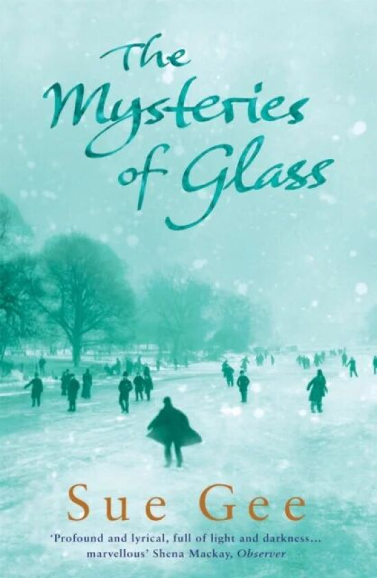 The Mysteries of Glass av Sue Gee