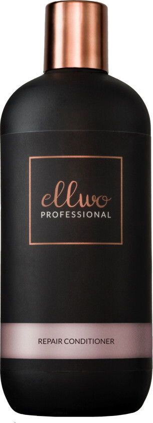 Repair Ellwo Conditioner 350 ml