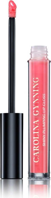 Shiny Plumping Lip Gloss, 2,7 ml  Leppeglans