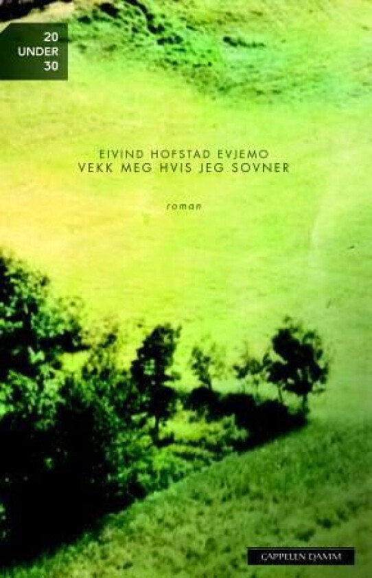Vekk meg hvis jeg sovner av Eivind Hofstad Evjemo