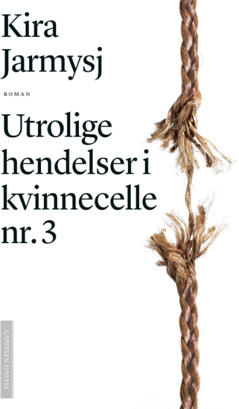 Utrolige hendelser i kvinnecelle nr. 3 av Kira Jarmy¿
