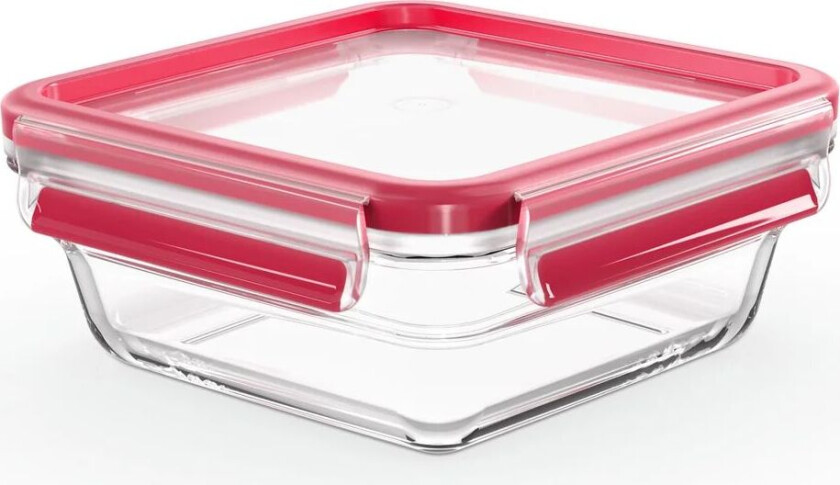 MasterSeal Glass matboks kvadrat 0,8 L