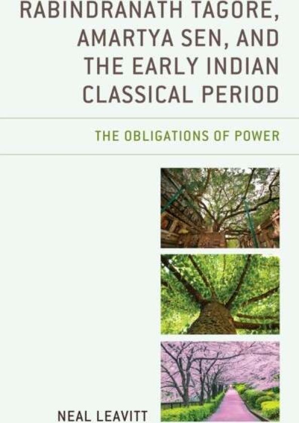 Rabindranath Tagore, Amartya Sen, and the Early Indian Classical Period av Neal Leavitt