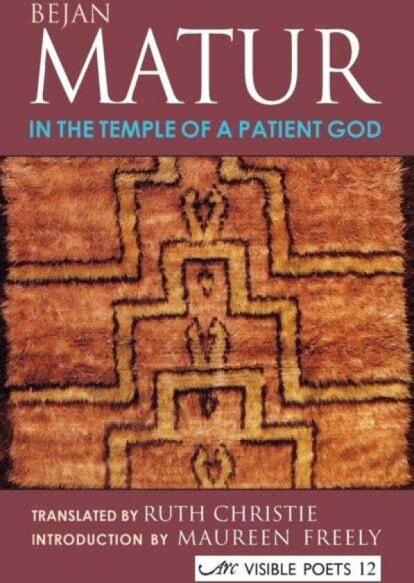 In The Temple Of A Patient God av Bejan Matur