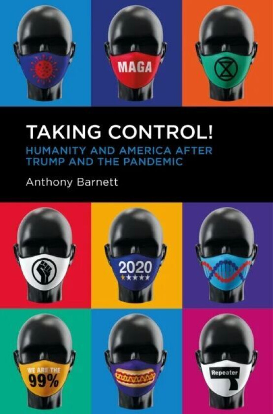 Taking Control! av Anthony Barnett