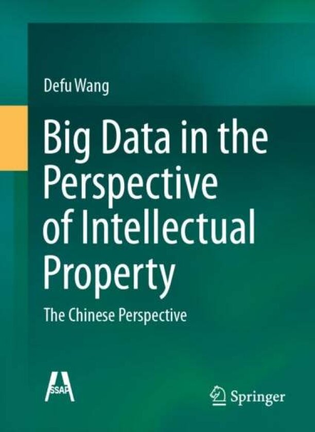 Big Data in the Perspective of Intellectual Property av Defu Wang