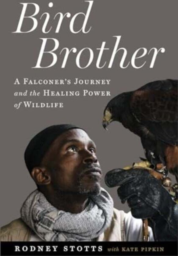 Bird Brother av Rodney Stotts