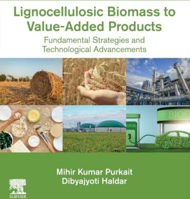 Lignocellulosic Biomass to Value-Added Products av Dibyajyoti, PhD , Manipal Karnataka, India) Haldar