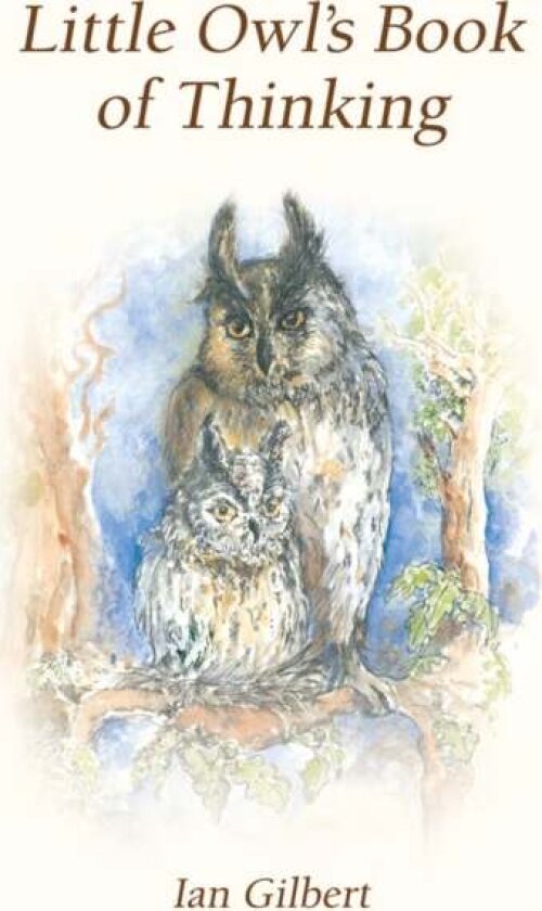 Little Owl's Book of Thinking av Ian Gilbert