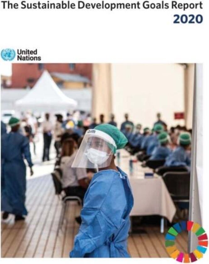 The Sustainable Development Goals Report 2020 av United Nations Department for Economic and Social Affairs