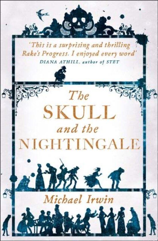 The Skull and the Nightingale av Michael Irwin