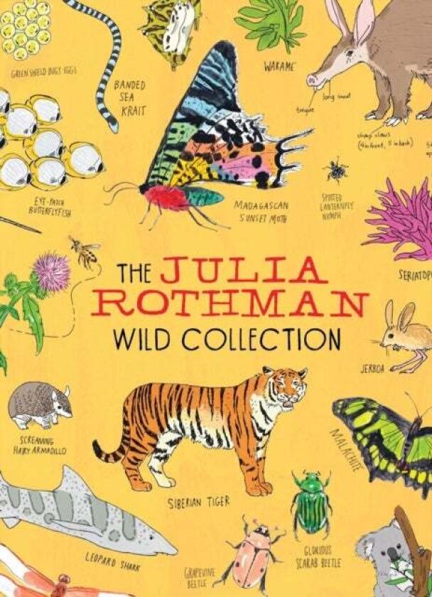 The Julia Rothman Wild Collection av Julia Rothman