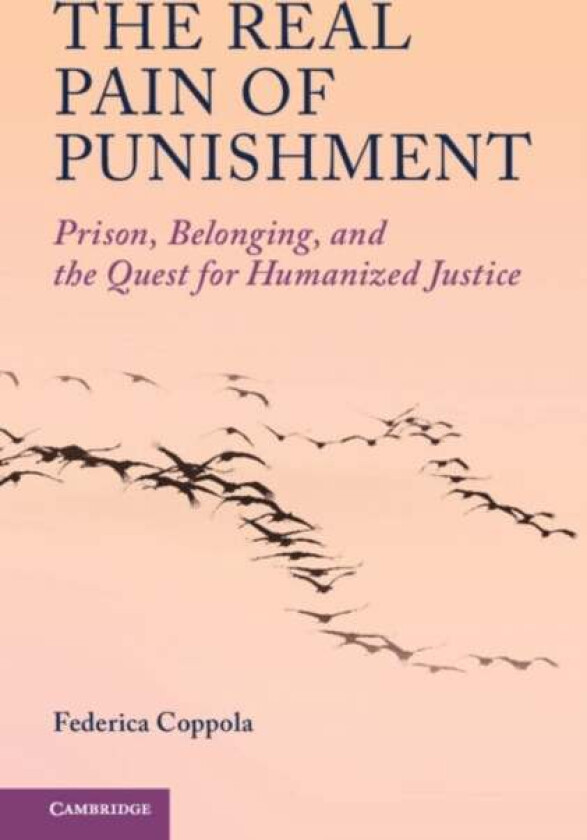 The Real Pain of Punishment av Federica Coppola