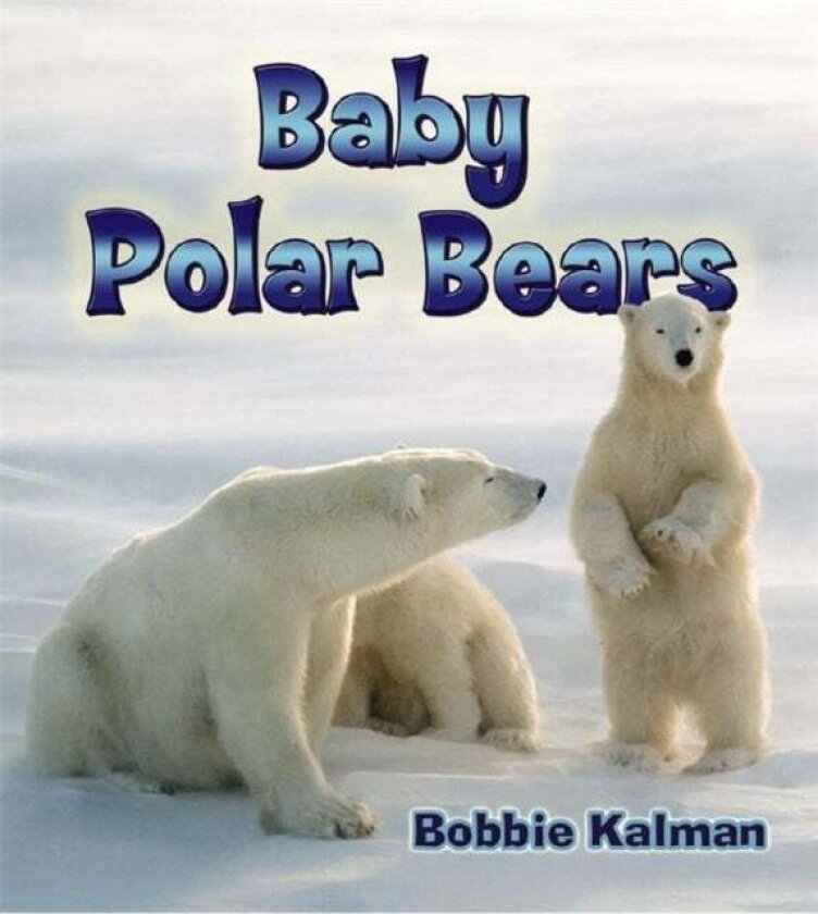 Baby Polar Bears av Bobbie Kalman