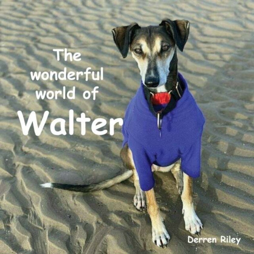 The wonderful world of Walter av Derren Riley