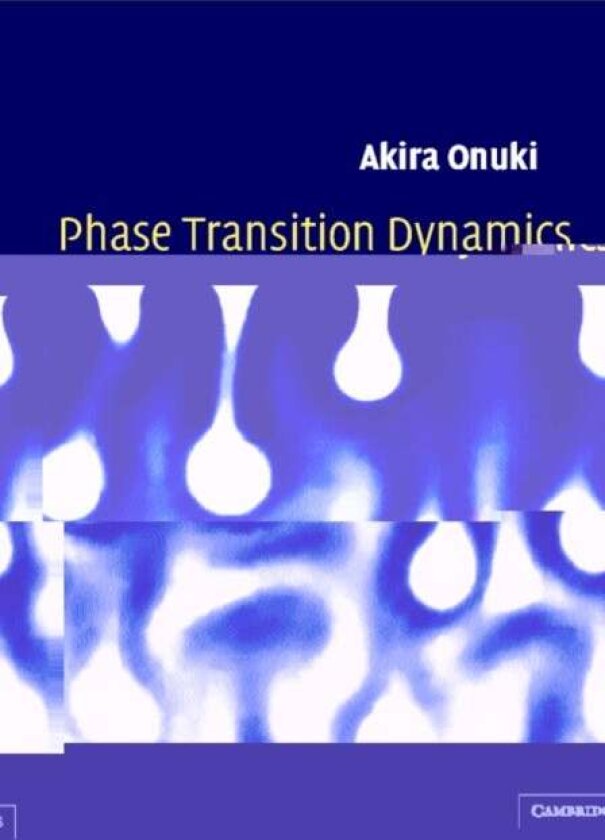 Phase Transition Dynamics av Akira Onuki