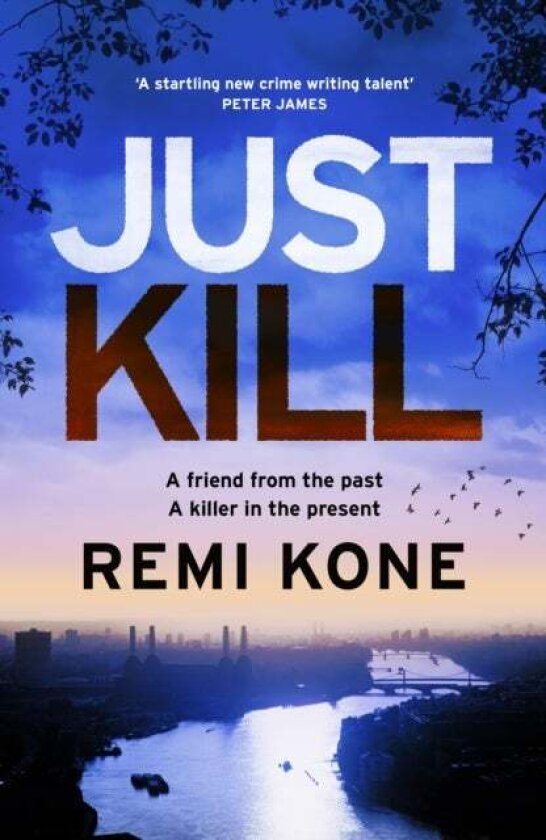 Just Kill av Remi Kone