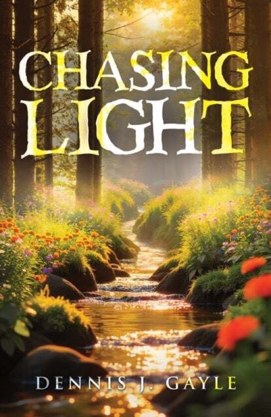 Chasing Light av Dennis J. Gayle