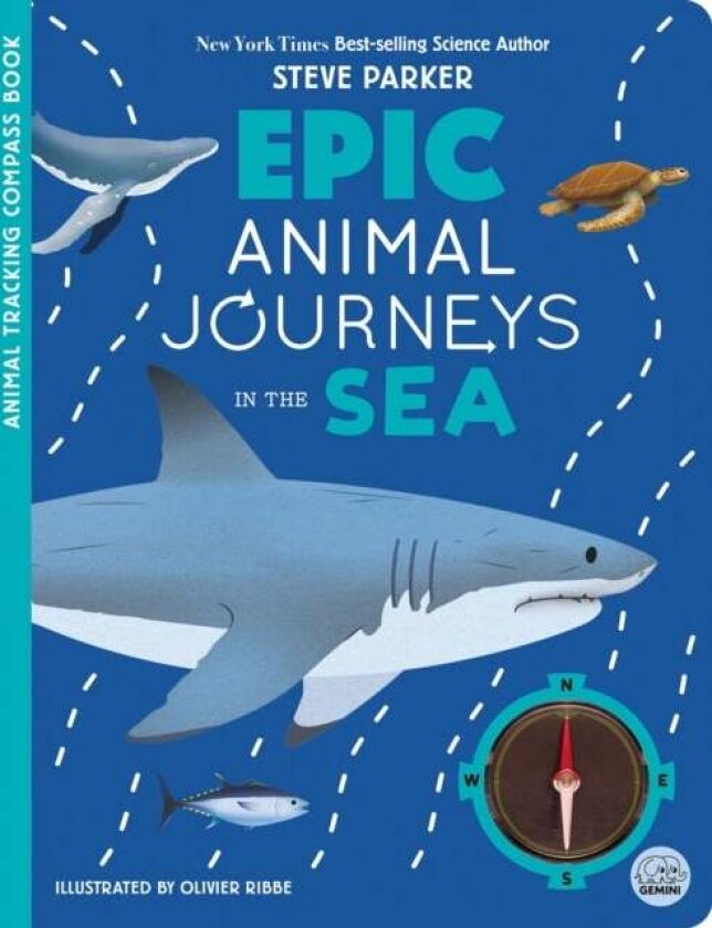 Epic Animal Journeys in the Sea av Matilda Martin