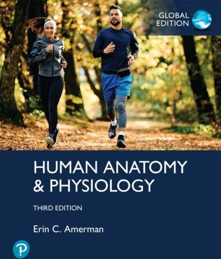 Human Anatomy & Physiology, Global Edition av Erin Amerman