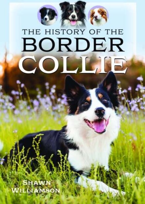 The History of the Border Collie av Shawn Williamson