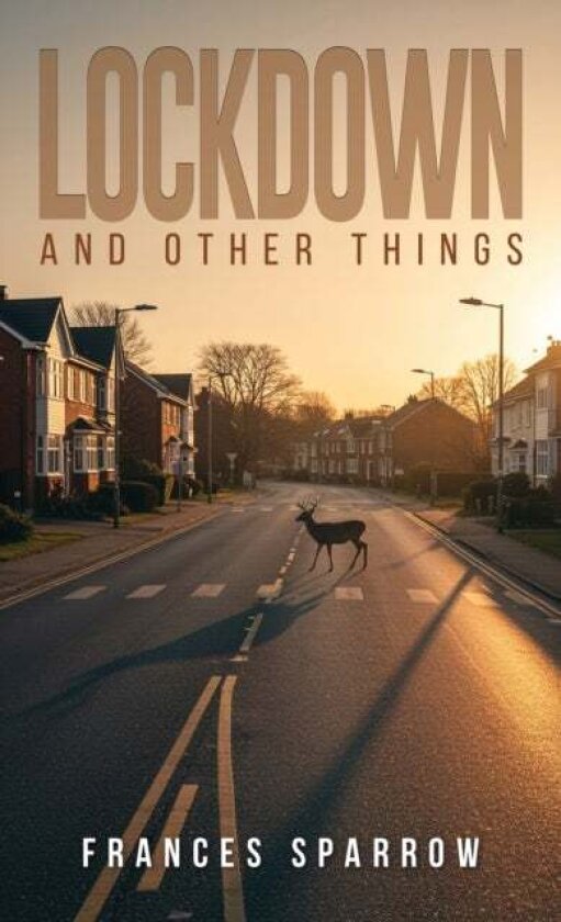 Lockdown and Other Things av Frances Sparrow