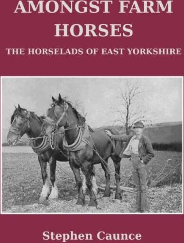 Amongst Farm Horses av Stephen Caunce