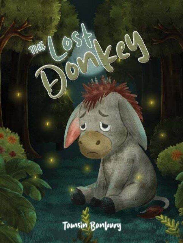 The Lost Donkey av Tamsin Banbury