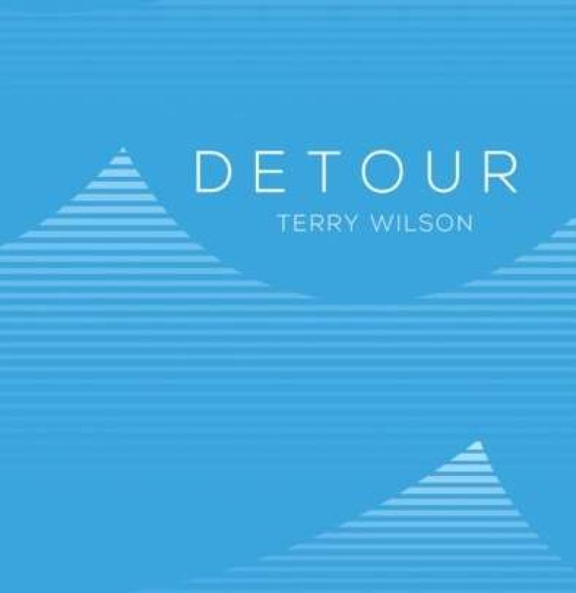 Detour av Terry Wilson