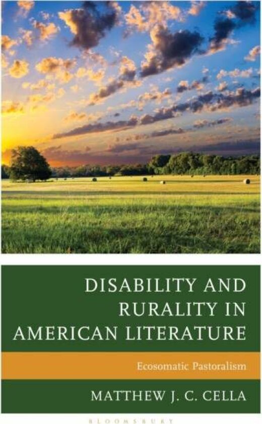 Disability and Rurality in American Literature av Matthew J. C. Cella