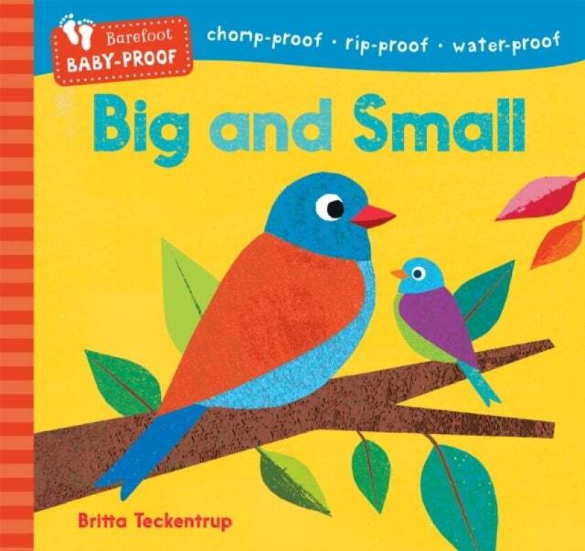 Barefoot Baby-Proof: Big and Small av Barefoot Books