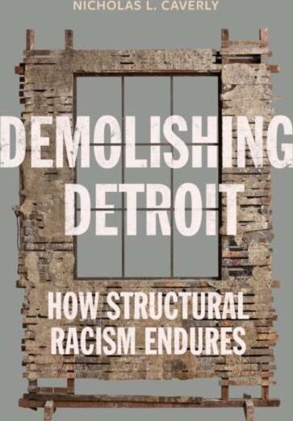 Demolishing Detroit av Nicholas L. Caverly