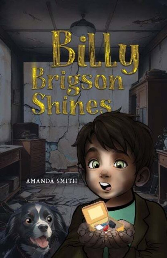 Billy Brigson Shines av Amanda Smith